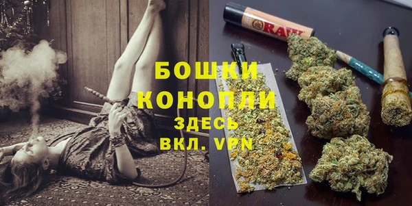 сатива Михайловск