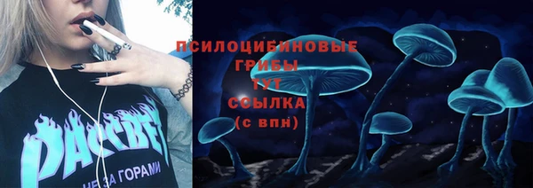 дмт Михайлов