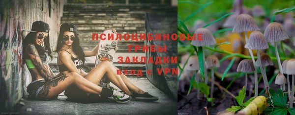 дмт Михайлов
