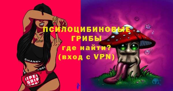 сатива Михайловск