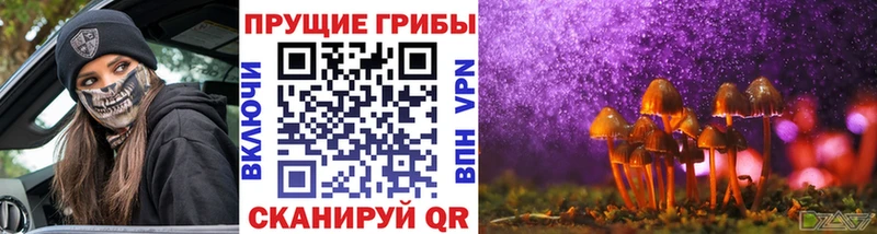 Купить где  Советская Гавань  Псилоцибиновые грибы Magic Shrooms 